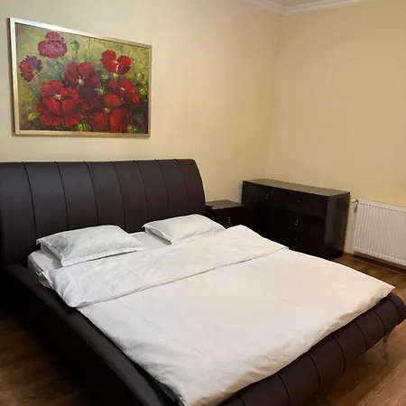 Apartment Nema S 2 Brasov