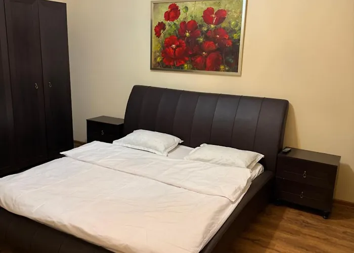 Nema S 2 布拉索夫