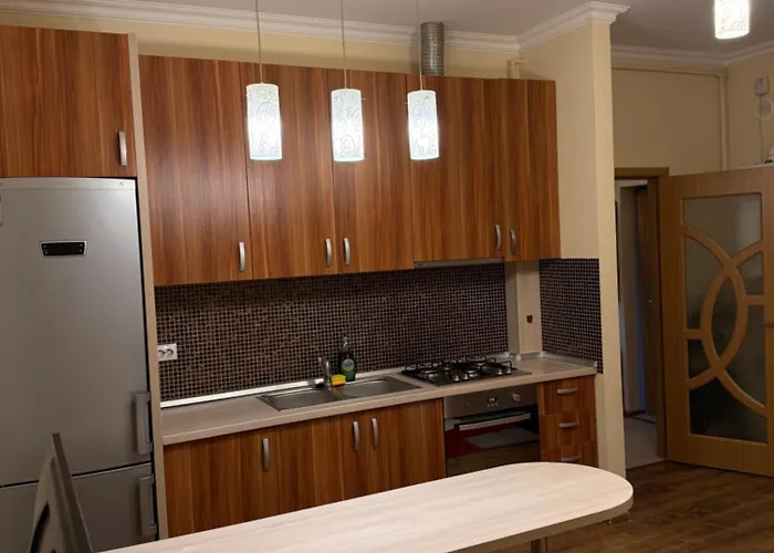 Nema S 2 布拉索夫