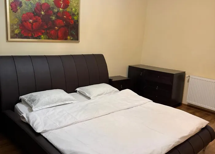 公寓 Nema S 2 布拉索夫